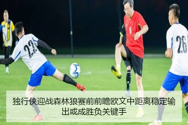 du-xing-xia-ying-zhan-sen-lin-lang-sai-qian-qian-zhan-ou-wen-zhong-ju-li-wen-ding-shu-chu-huo-cheng-sheng-fu-guan-jian-2-776.jpg