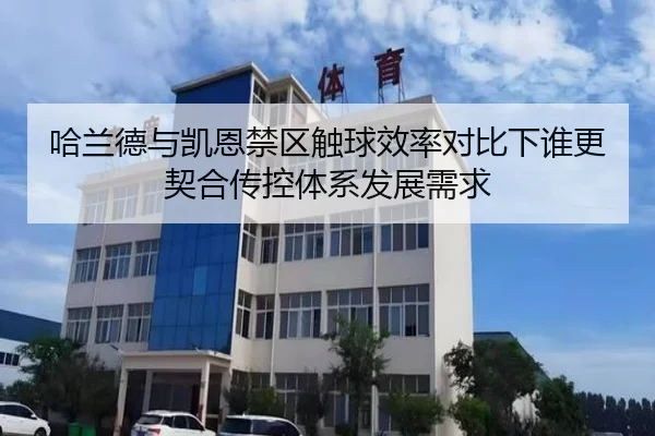 哈兰德与凯恩禁区触球效率对比下谁更契合传控体系发展需求
